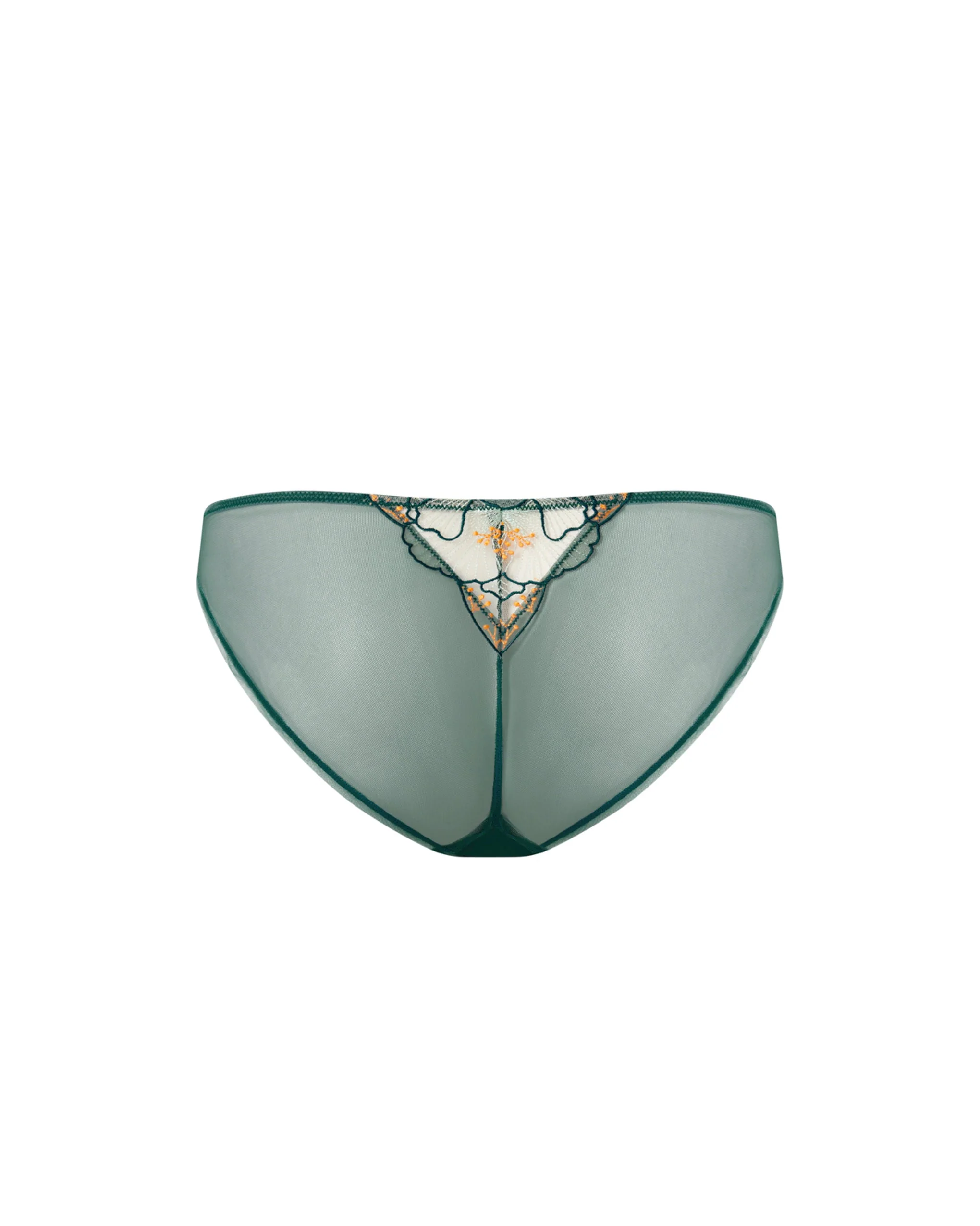Gianna Sheer Brief Green/Orange - Image 6