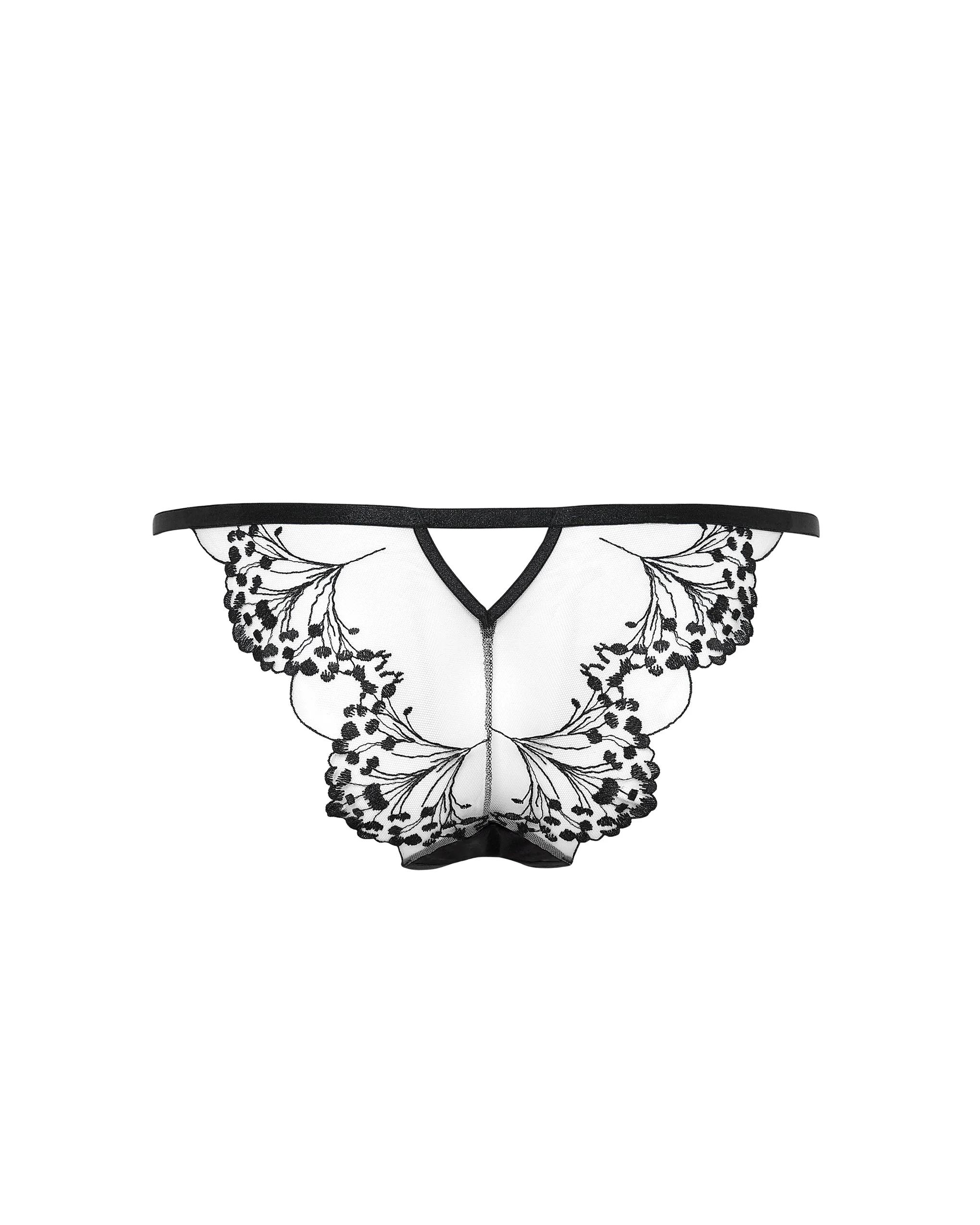 Marisa Embroidered Sheer Brief Black - Image 6