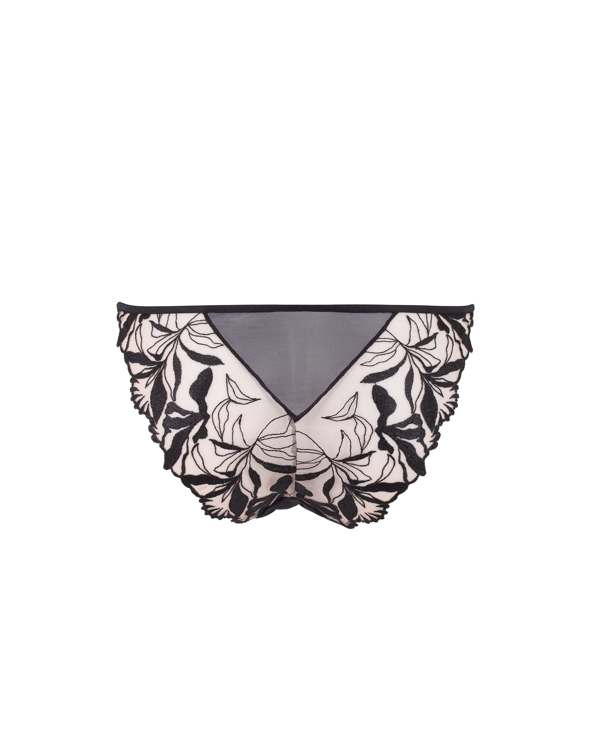 Persephone Brief Sheer/Black - Image 6
