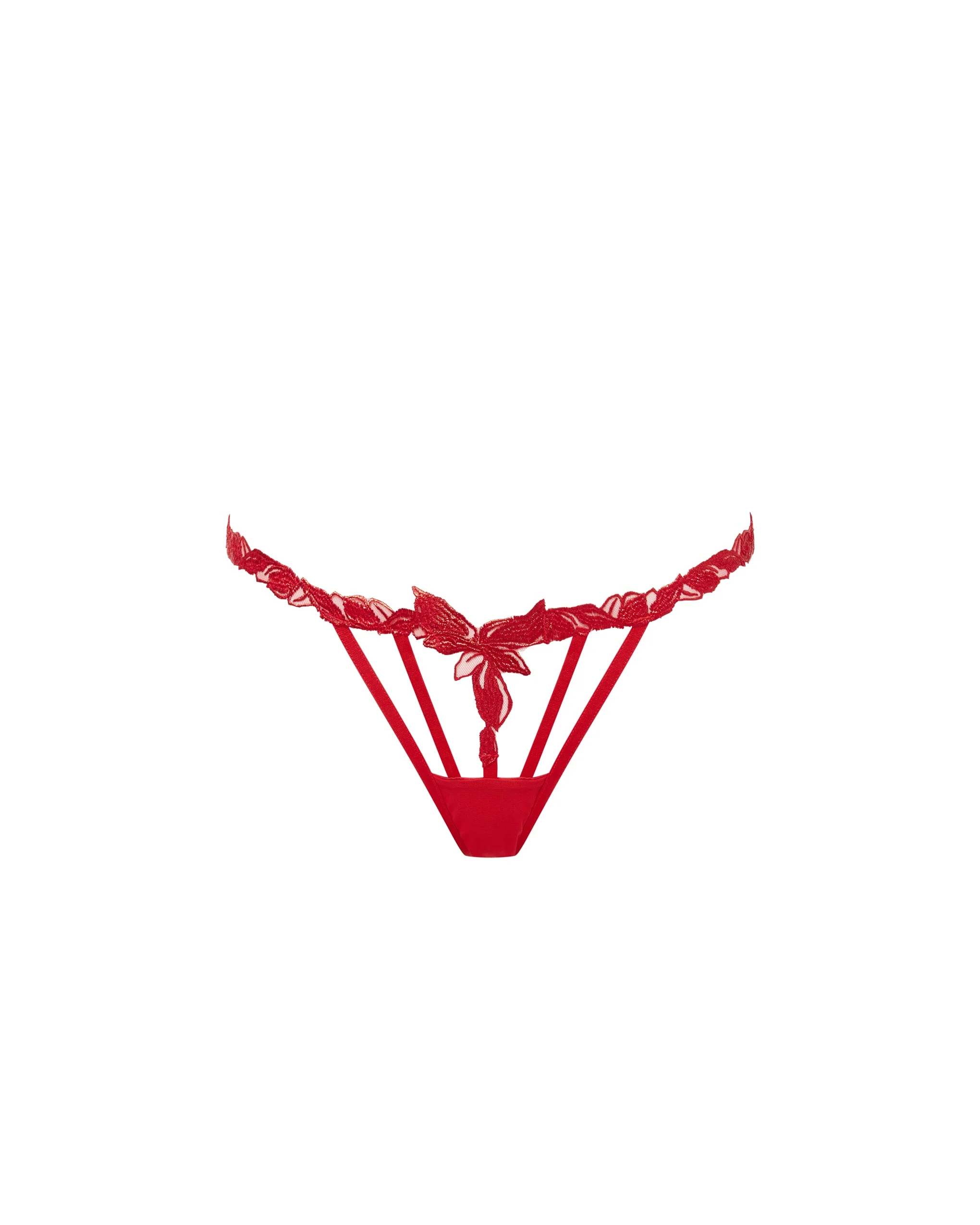 Seren Thong Red - Image 5